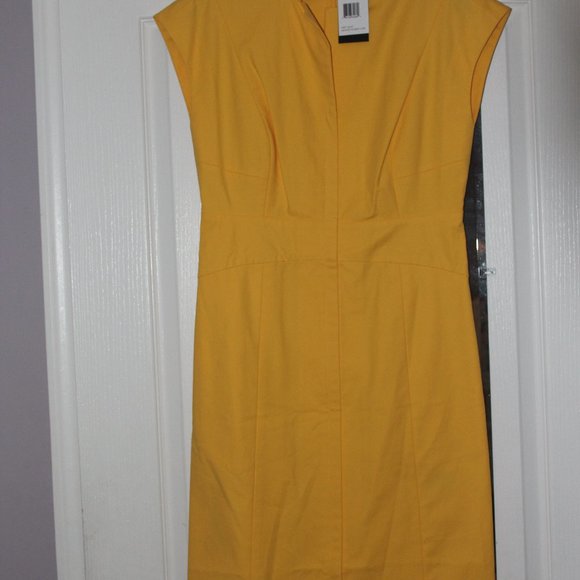 Lafayette 148 New York- Isabella Stretch Cotton Mandarin Collar Dress - Picture 3 of 6